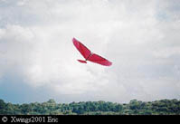 Skybird 3